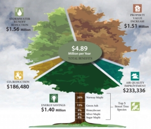 An example of the high value urban trees provide to an urban area. Source: Wisconsin Dept. of Natural Resources