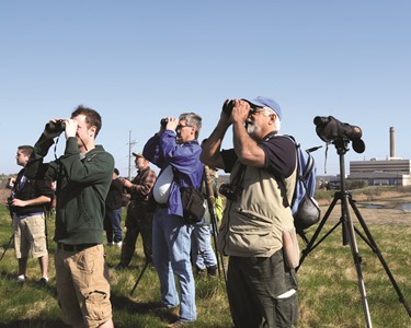 Bird surveys are a common and enjoyable way to contribute to citizen science. Photo courtesy of Lafarge.