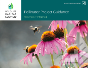 Temp Image_PG- Pollinators