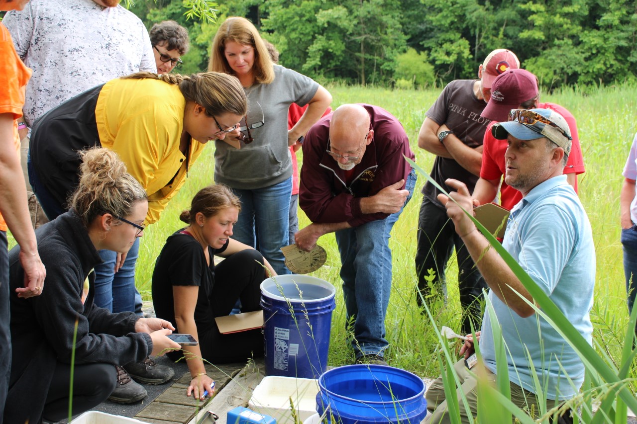 Dow | Community Members Interact with Native Plants and Animals at Ward  Hollow Wildlife Habitat