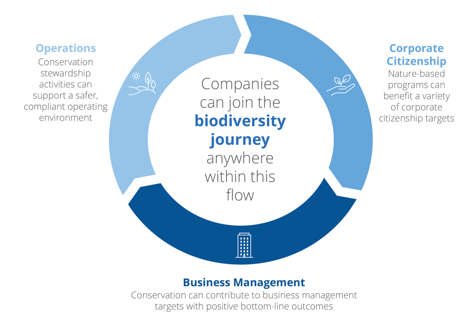Biodiversity Journey Infographic