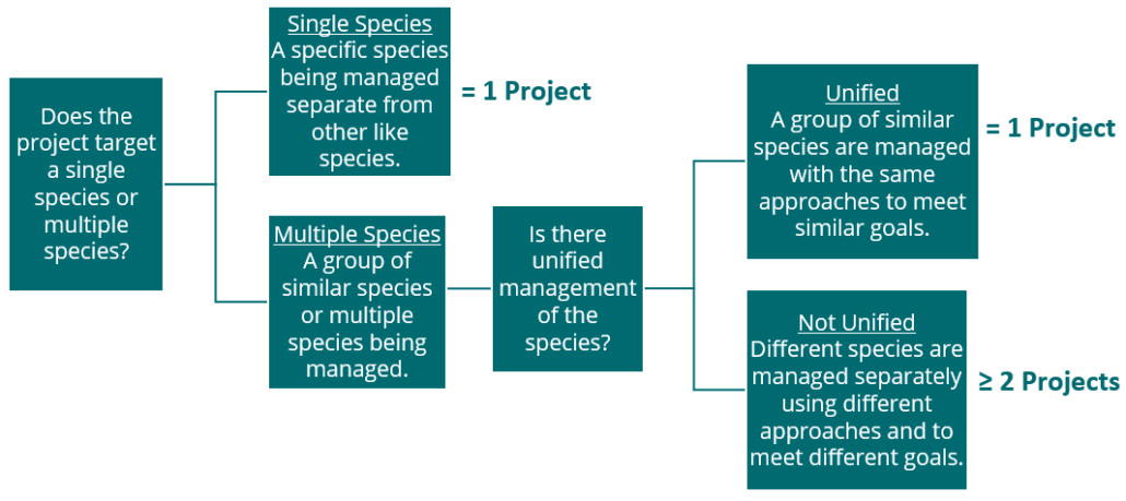 Species_Decision_Tree__bigger_